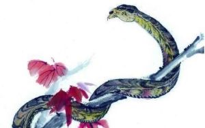 蛇咬胳膊梦境解析：好运预兆大揭秘！