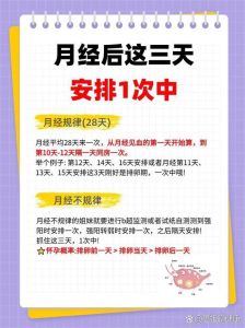 揭秘怀孕初期身体变化与心理感受