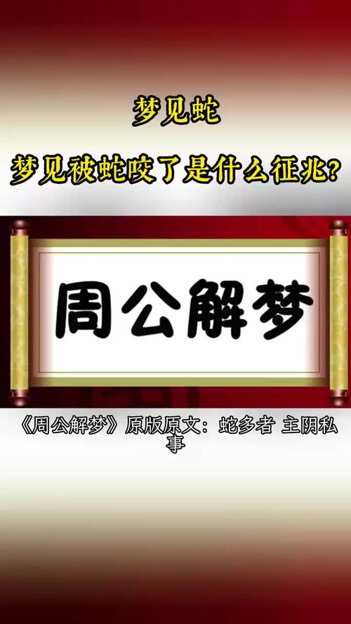 梦境蛇界奇遇记：地下世界神秘之旅