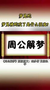 梦境蛇界奇遇记：地下世界神秘之旅