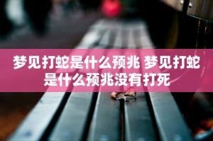 揭秘蛇梦奥秘：运势暗示与心理深层含义