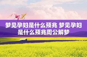 揭秘！梦见怀孕的七大预兆，探索潜意识秘密