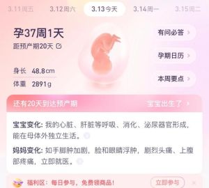 周公解梦揭秘：怀孕梦预示好运与幸福