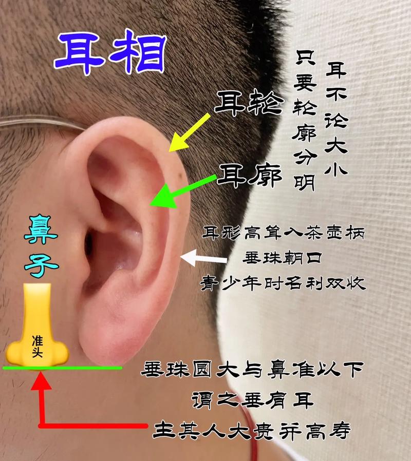 面相揭秘：招财耳福气耳与贵气耳预示好运