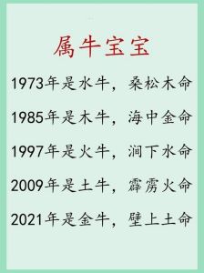 2024年生肖鸡蛇牛运势大解析：12月喜讯来袭！