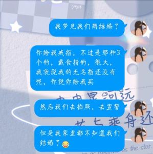 梦中婚礼狂欢：奇幻梦境与成长启示