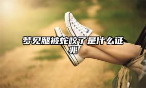 解密狗咬腿梦兆：困扰与突破的深层含义