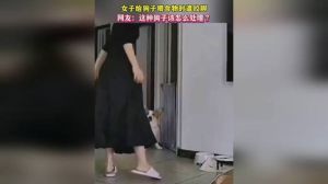 女人梦见狗咬腿的七大预兆揭秘！