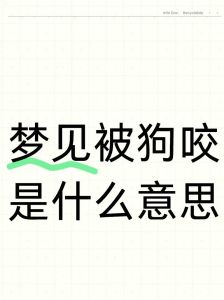 梦境狗咬：预示好运还是霉运？解析人际关系与情绪波动
