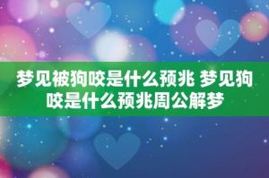 梦解析：狗咬手预示吉凶，揭秘梦境之谜