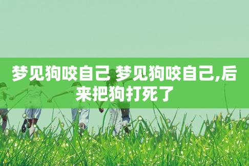 梦境解析：狗狗咬人背后的心理秘密