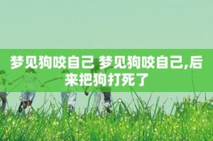 梦境解析：狗狗咬人背后的心理秘密