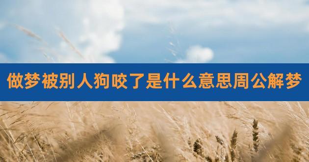 解密奇梦：梦见被狗咬出血的奥秘与启示