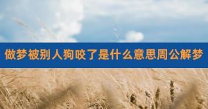 解密奇梦：梦见被狗咬出血的奥秘与启示