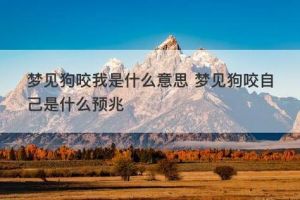 梦境揭秘：狗狗咬人心理解析