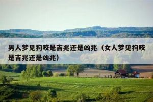 女人梦到狗咬的深层含义与应对策略揭秘