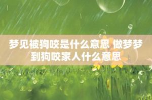 解密狗咬梦：探索内心恐惧与心理平衡之道