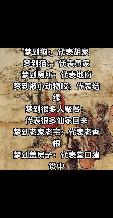 周公解梦揭秘：猫的梦境寓意及预示