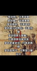 周公解梦揭秘：猫的梦境寓意及预示