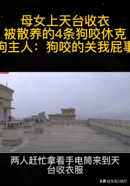 解密梦境：疯狗咬人出血的深层心理密码