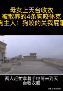 解密梦境：疯狗咬人出血的深层心理密码
