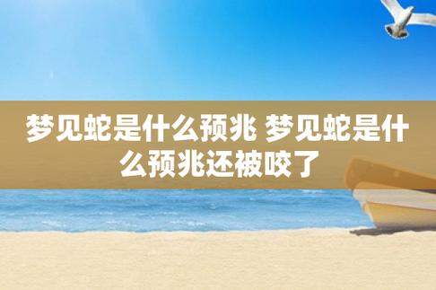 蛇梦解析：揭秘爱情财富与健康暗示