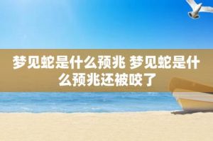 蛇梦解析：揭秘爱情财富与健康暗示