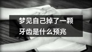 梦见小黄狗的象征意义与预兆揭秘