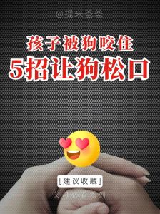 梦见狗咬背：揭秘忠诚与背叛的深层象征
