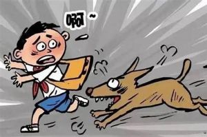 梦见狗咬不放：揭秘深层含义与心理密码