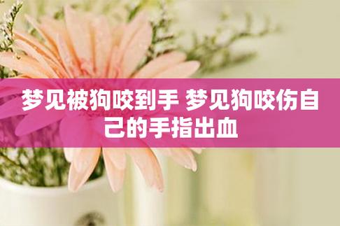 解梦揭秘：狗咬手流血，预示何方？