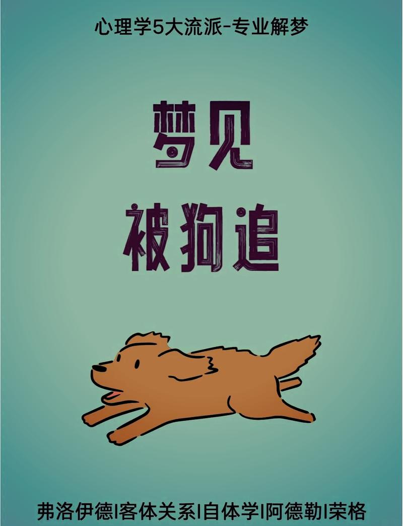 解密：狗咬手中物梦境的象征意义及心理分析