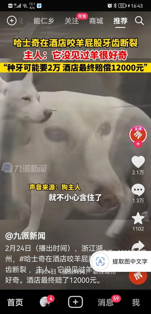 梦醒狗咬狗：人性与动物世界的深层反思
