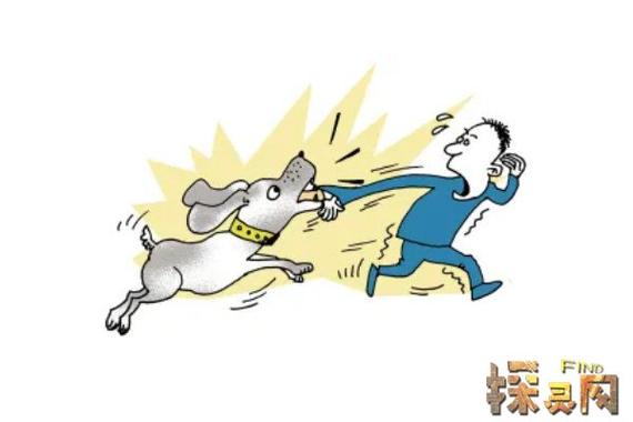 梦境解析：狗咬自己预示变故？揭秘心理秘密