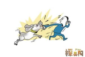 梦境解析：狗咬自己预示变故？揭秘心理秘密