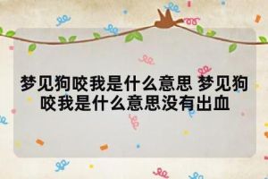 梦境解析：狗咬脖子象征解析与启示