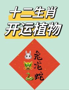 三大生肖女独特魅力解析：兔龙蛇，美好缘分值得珍惜