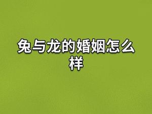 生肖龙兔女子品质：智慧独立与温柔体贴的珍贵缘分