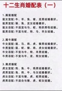 十二生肖运势：属鼠至猪运势佳，属牛猴狗需谨慎
