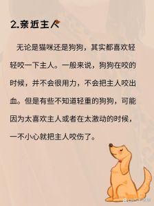 梦见狗咬手指出血的深层寓意与生活启示