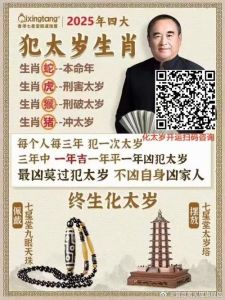 2025年生肖好运：金牛鼠兔龙旺运指南