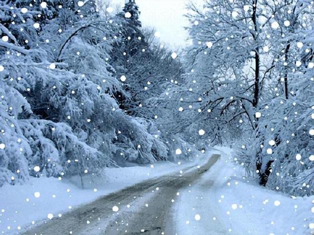 大雪节气生肖运势：2024年天时助力好运来