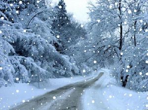 大雪节气生肖运势：2024年天时助力好运来