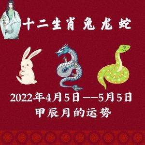 12月运势：生肖蛇兔鸡羊喜讯连连，感情财运双丰收！