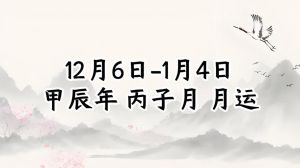 丙子月运势解析：火气影响2025年喜火者大利，提前规划年运！