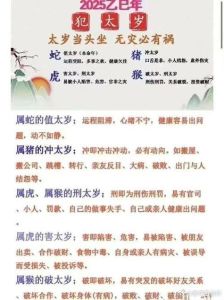 2025年生肖星座运势：四大势力闪耀，谦逊包容共成长