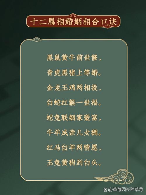 十二星座温柔面具下的冷酷真相