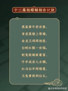 十二星座温柔面具下的冷酷真相