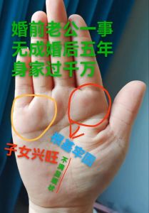 手相术揭秘：三才得配，27岁女性旺夫富贵手相