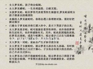 夫妻蛇梦解析：揭秘梦境中的蛇象征意义